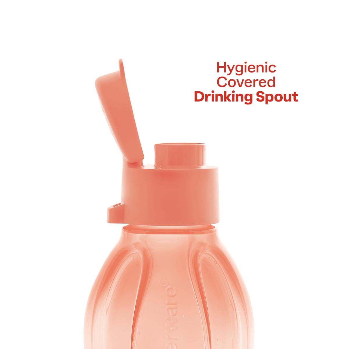 Eco+ Bottle | Small - Image 4